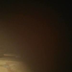 Meet your Posher, Beverly